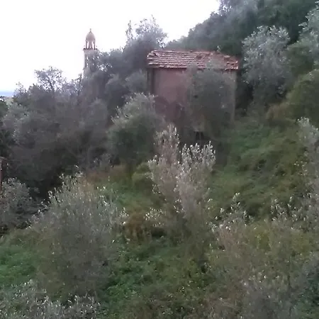 Lägenhet Casa Dell'ulivo