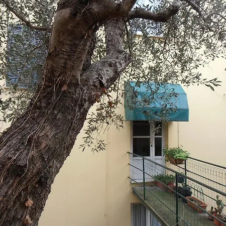 Casa Dell'ulivo *